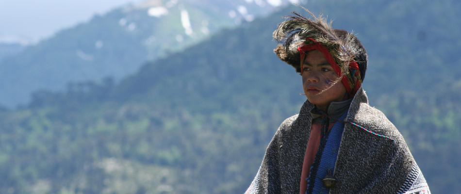 Indigenas Chile